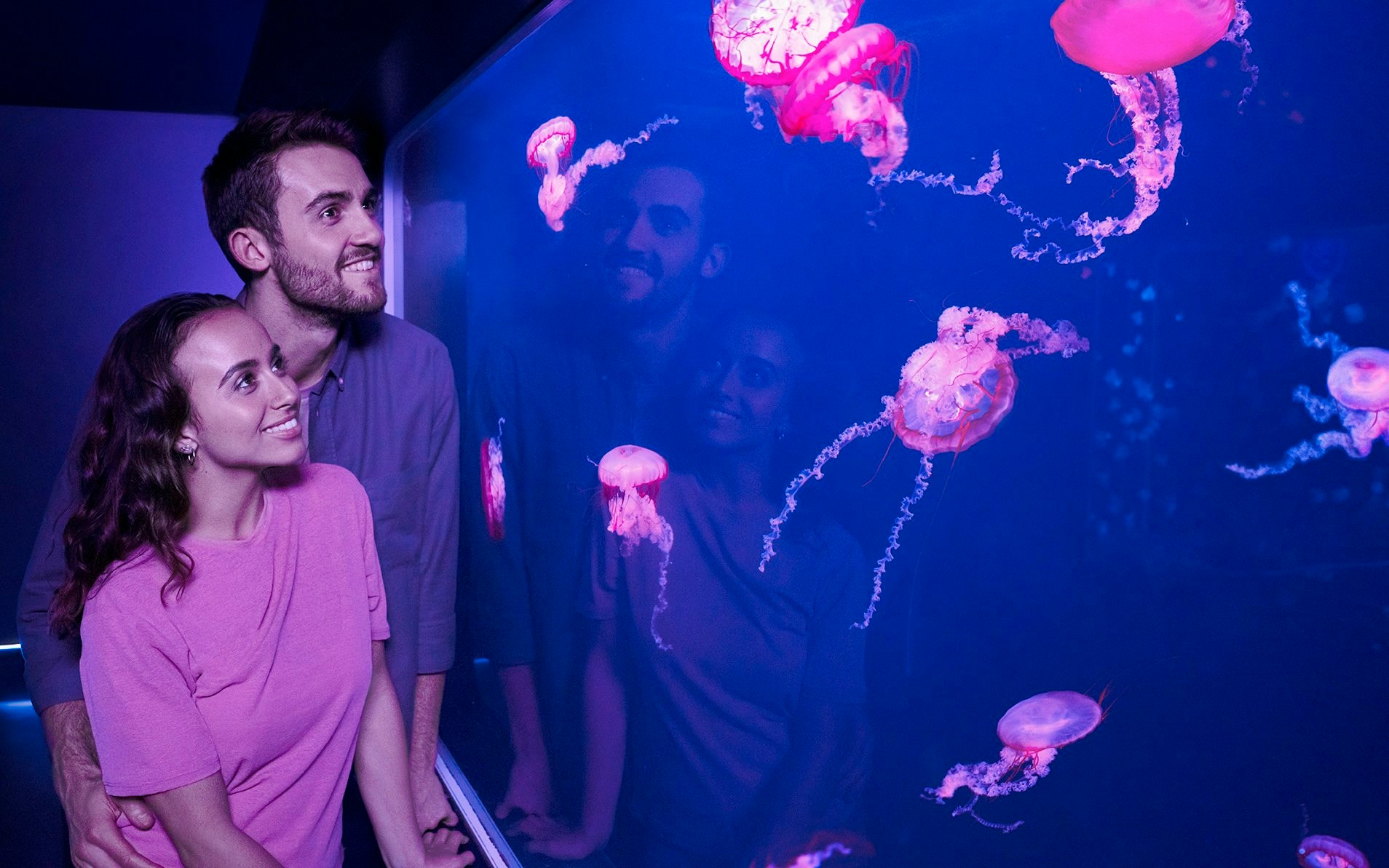 Visitors observing jellyfish at Sea Life London aquarium.