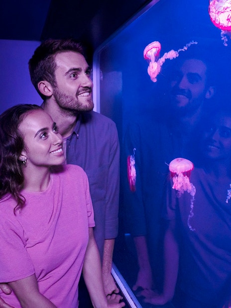 Visitors observing jellyfish at Sea Life London aquarium.
