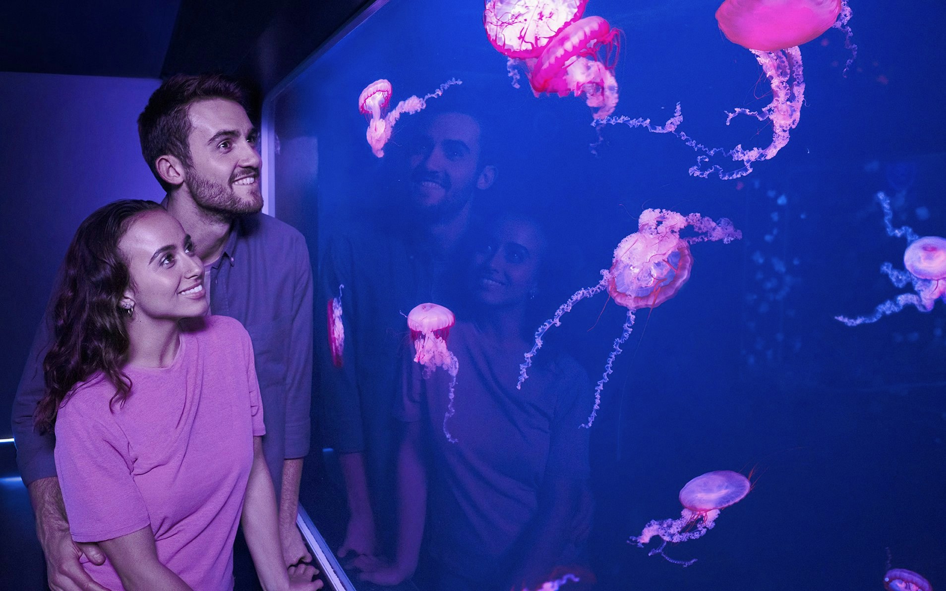 Visitors observing jellyfish at Sea Life London aquarium.