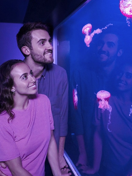Visitors observing jellyfish at Sea Life London aquarium.