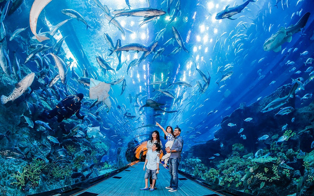 Family exploring Dubai Aquarium tunnel with diverse marine life above.