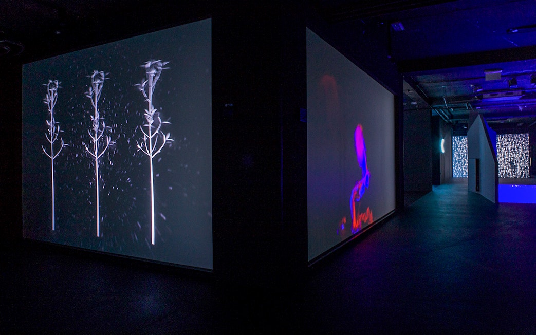 Audiovisual light art projections at Lumia Gallery exhibition space.