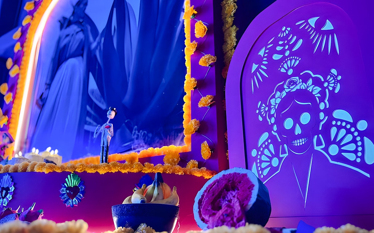 frida kahlo: la biografia immersiva-6