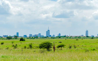 Giraffe in Nairobi National Park with city skyline in background, Nairobi Wildlife & Cultural Fusion.