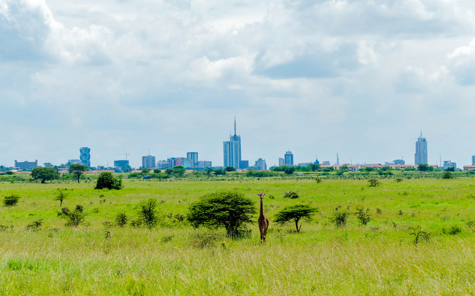 Nairobi National Park Safari with Karen Blixen Museum, Bomas of Kenya Cultural Show and Carnivore Lunch