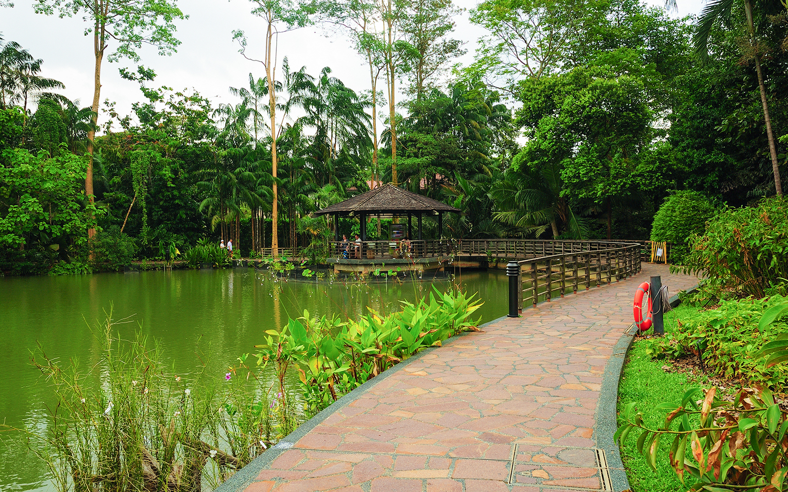 A beautiful bricked path leading to a gazebo in Singapore Botanic Gardens