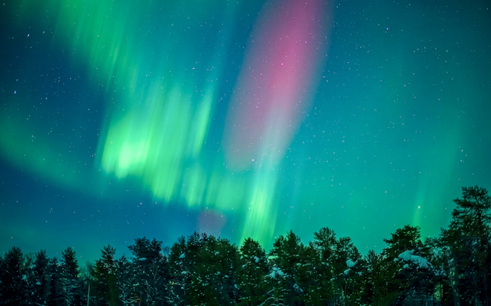 Northern lights over snowy forest in Rovaniemi, Finland.