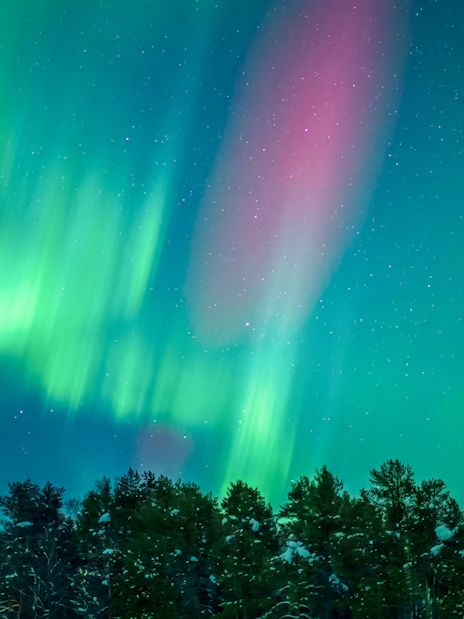 Northern lights over snowy forest in Rovaniemi, Finland.