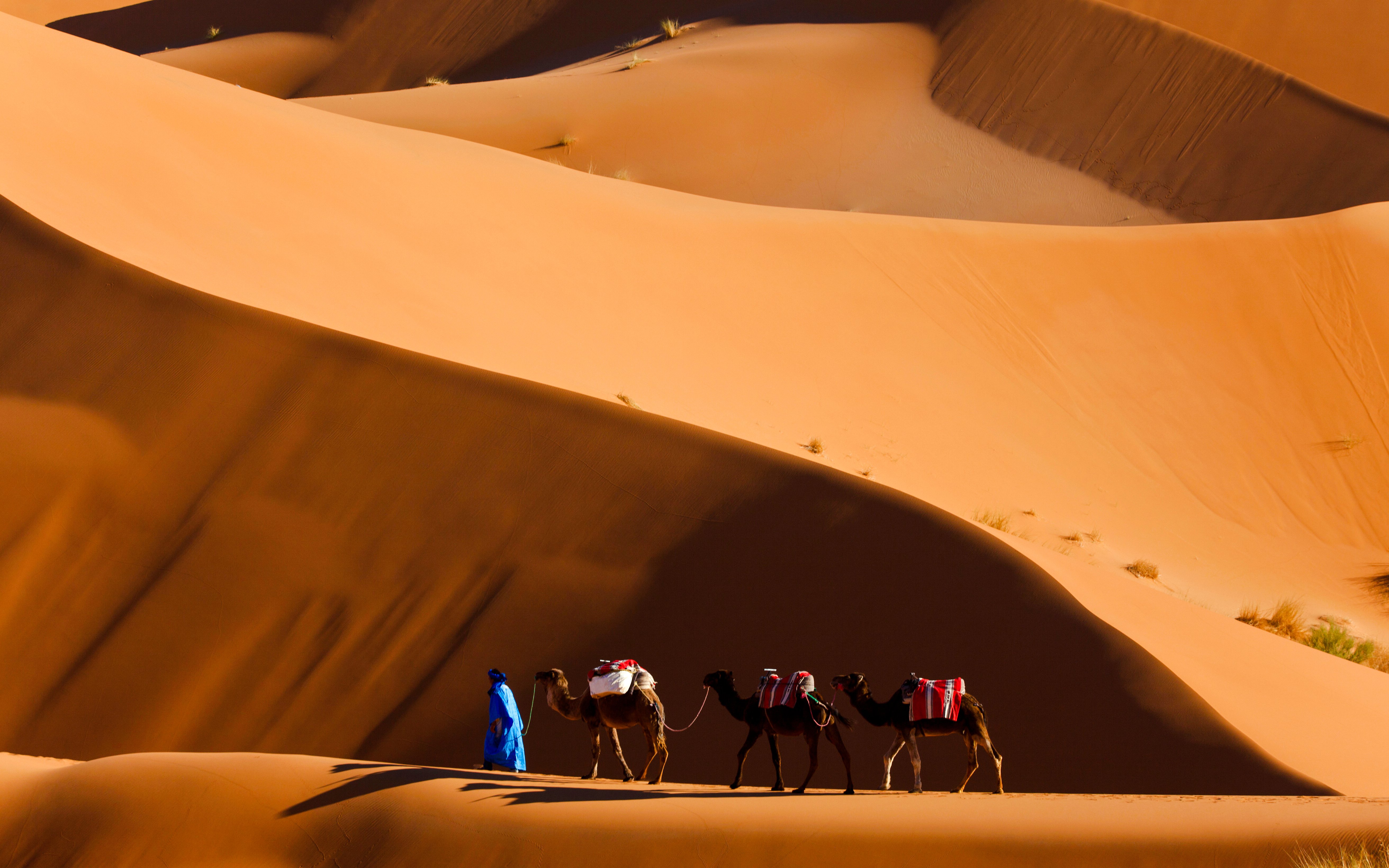 Erg Chebbi