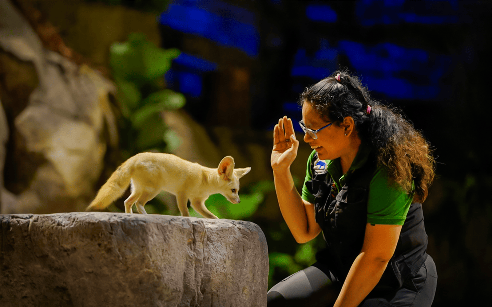 Fox interacting with a guide during the Creature of the Night presentation.