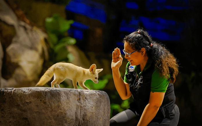 Fox interacting with a guide during the Creature of the Night presentation.