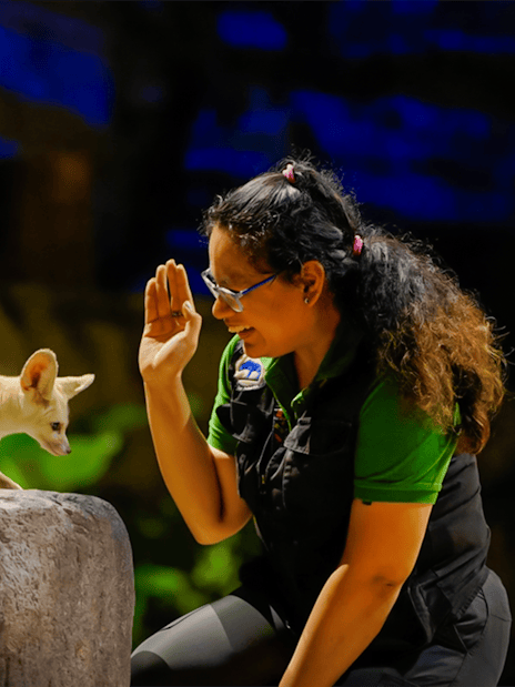 Fox interacting with a guide during the Creature of the Night presentation.