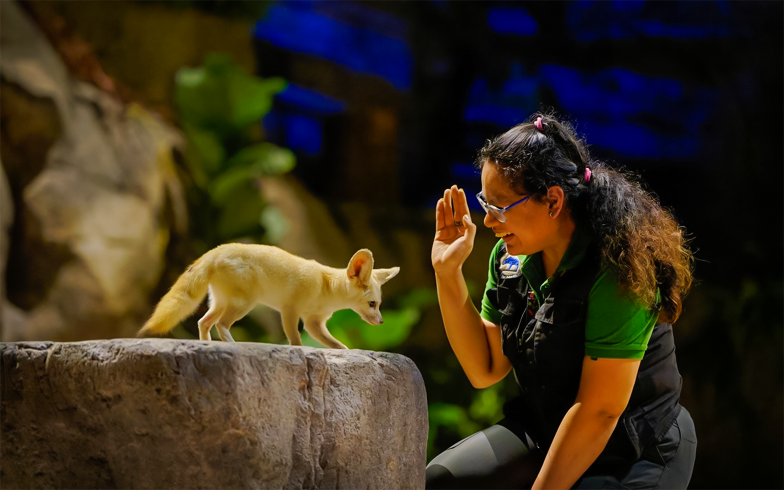 Fox interacting with a guide during the Creature of the Night presentation.