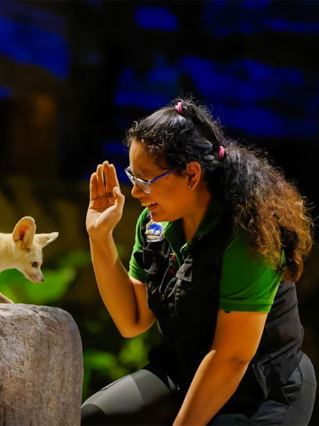 Fox interacting with a guide during the Creature of the Night presentation.