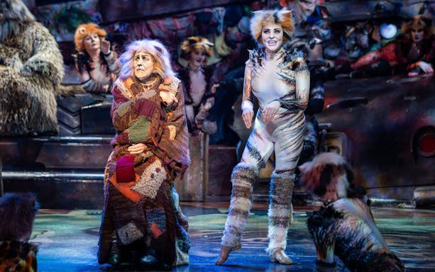 Performers in costume on stage at Cats Show, Perth.