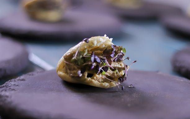Gourmet dish with microgreens served at underground dining experience.