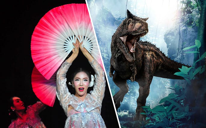 Performer with fans at Calypso Cabaret show in Bangkok.