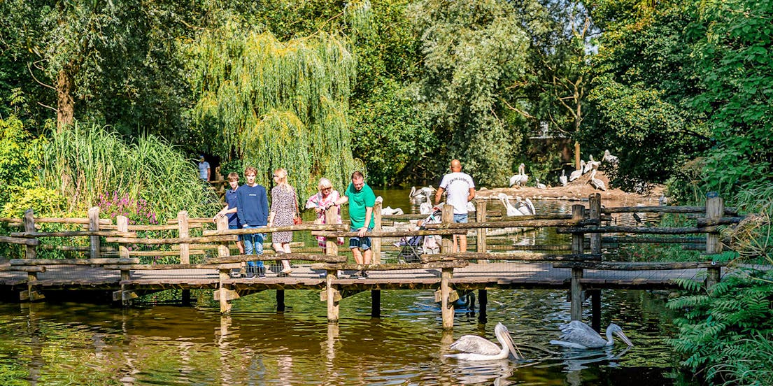 Rotterdam Zoo