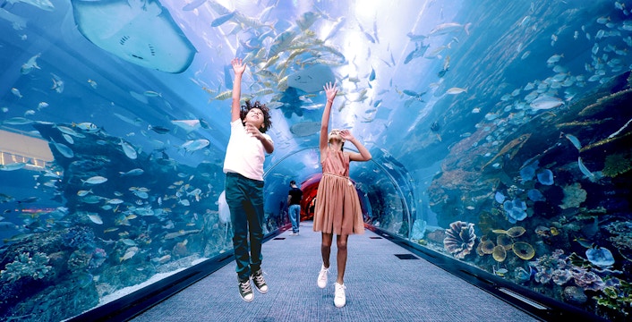 Dubai Mall Attractions