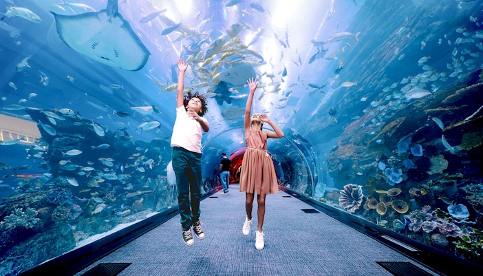 Kids exploring underwater tunnel at Dubai Aquarium & Underwater Zoo.
