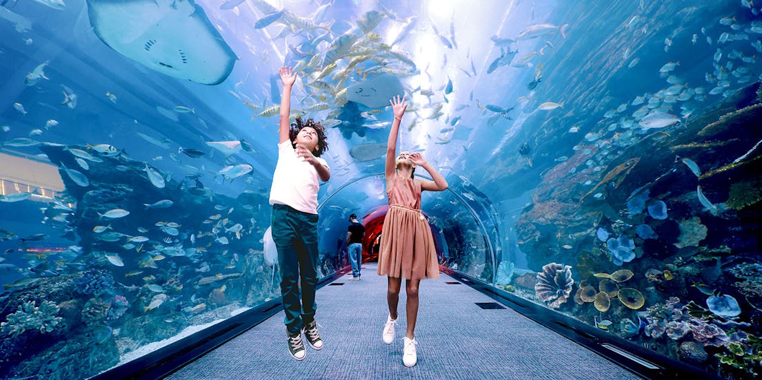 Dubai Mall Attractions