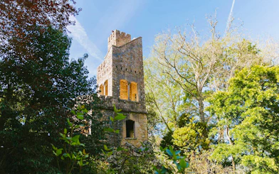 Quinta da Regaleira tower surrounded by lush greenery in Sintra, Portugal.