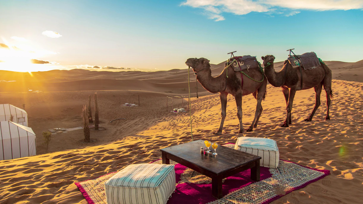 Desert camp with camels and seating area in Moroccan Sahara at sunset.