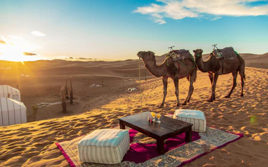 Desert camp with camels and seating area in Moroccan Sahara at sunset.