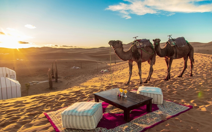 Desert camp with camels and seating area in Moroccan Sahara at sunset.