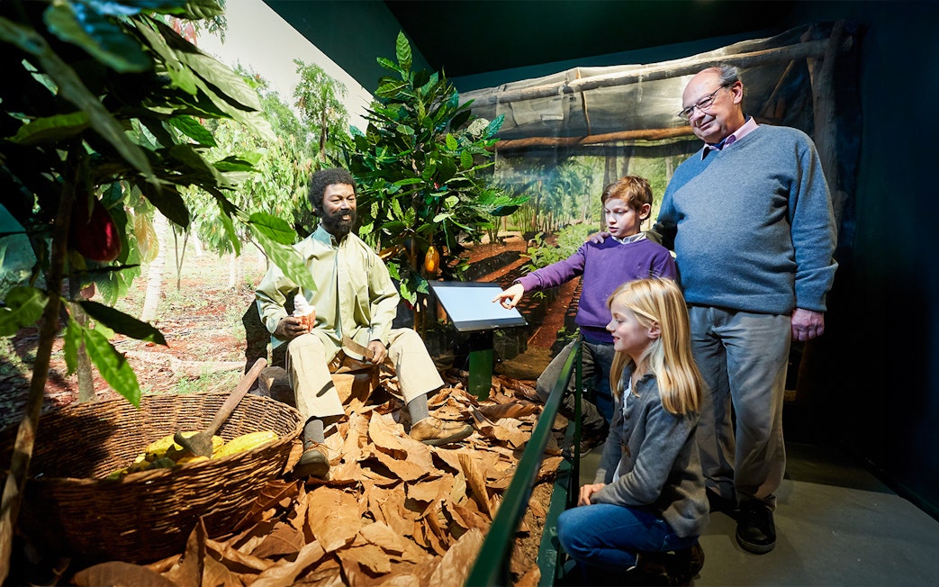 Tourists observing a cocoa plantation exhibit at Choco Story in Brussels.
