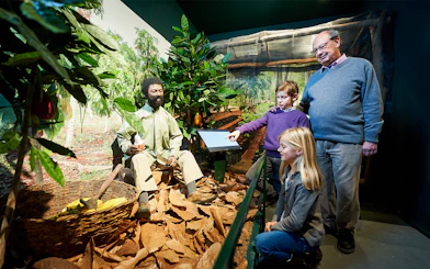 Tourists observing a cocoa plantation exhibit at Choco Story in Brussels.