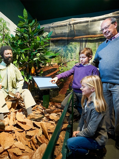 Tourists observing a cocoa plantation exhibit at Choco Story in Brussels.