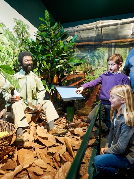 Tourists observing a cocoa plantation exhibit at Choco Story in Brussels.