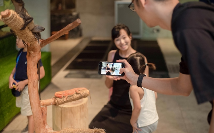 Family interacting with reptiles at Just Farm by Just Pets Megastore.