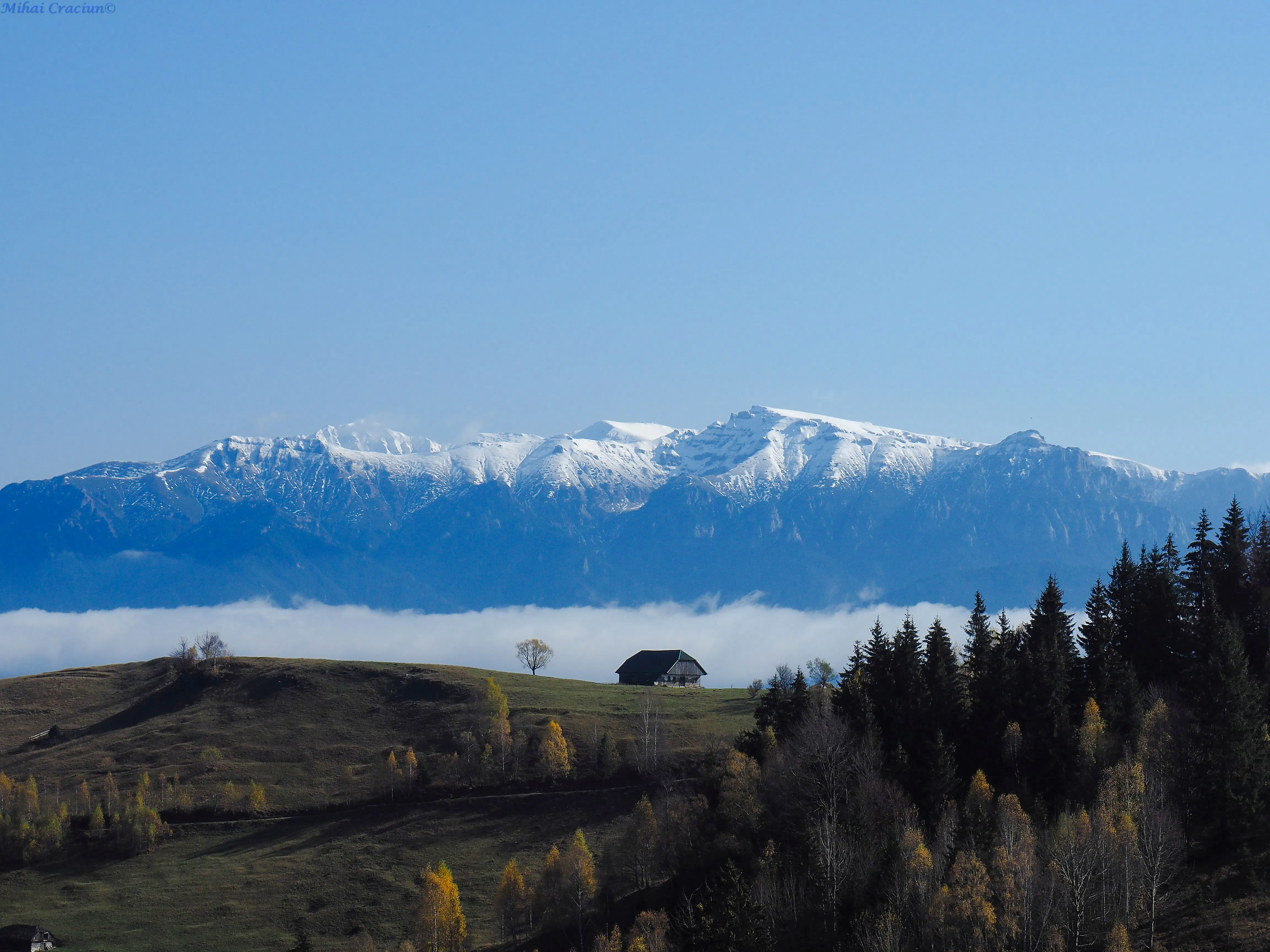 Mountain landscape in Piatra Craiului National Park with a cabin and forest, Brasov.