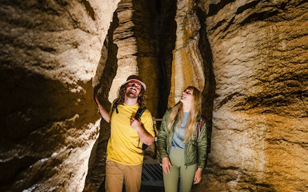 Te Anau Glowworm Caves Guided Tour
