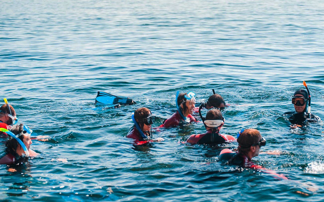 Snorkelers in Arrábida Natural Park enjoying a group excursion in clear waters.