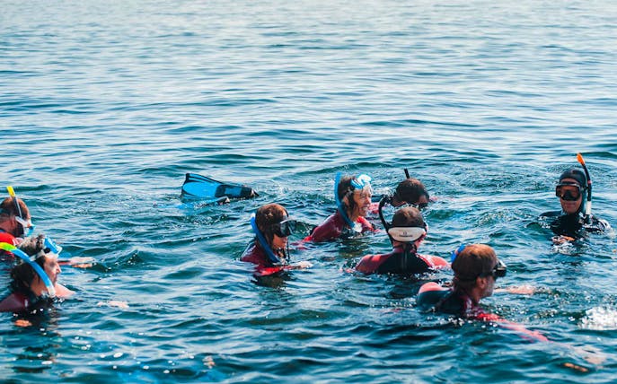 Snorkelers in Arrábida Natural Park enjoying a group excursion in clear waters.