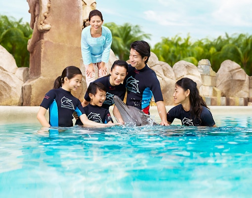 Dolphin Island Singapore