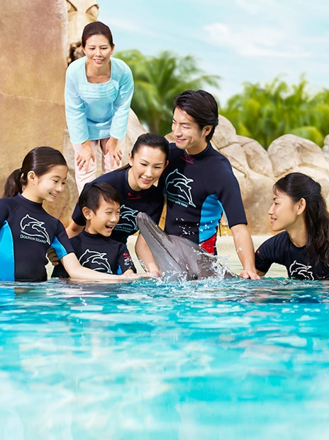 Group interacting with a dolphin at Dolphin Island, Singapore.