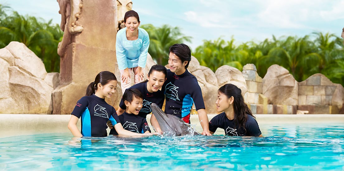 Dolphin Island