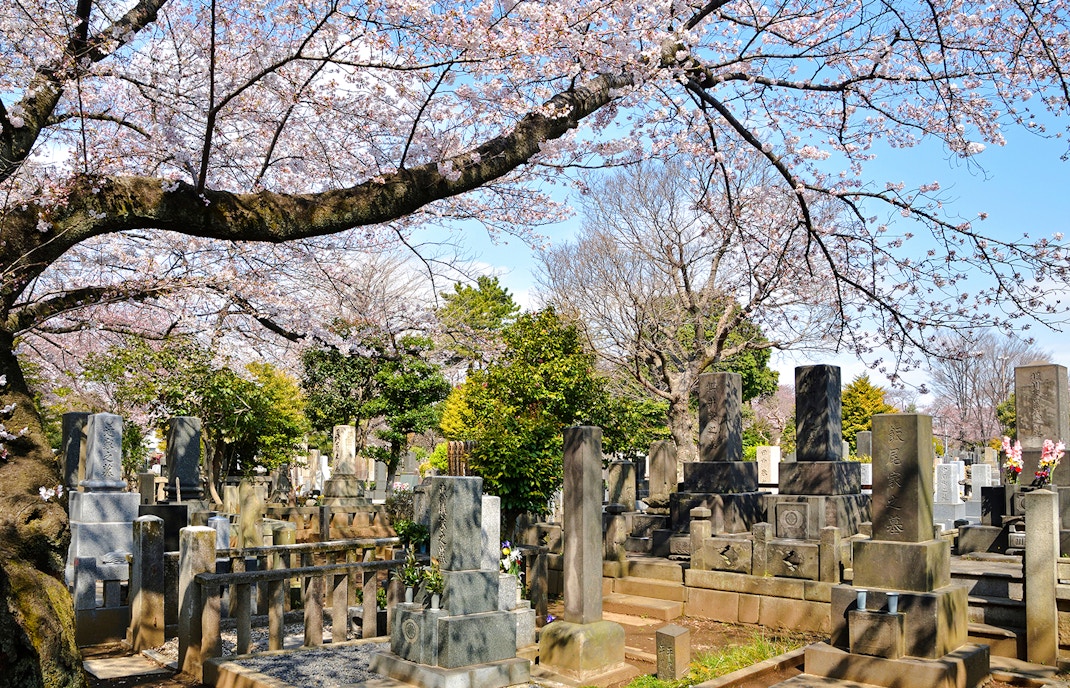 Yanaka Cemetery in fall color