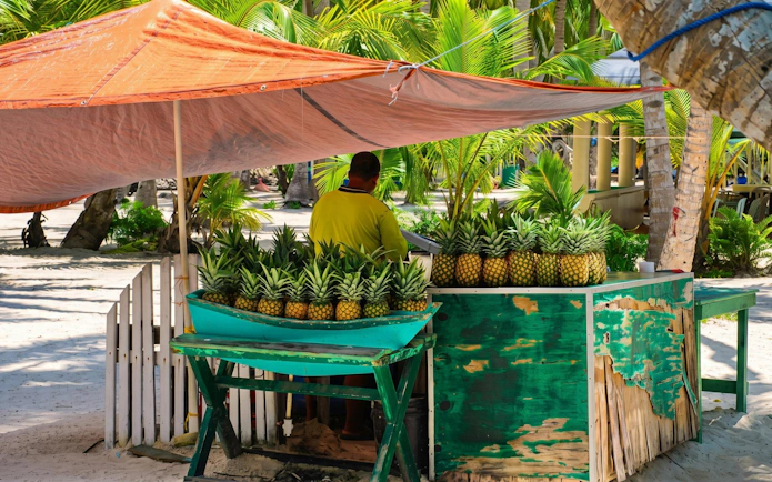 Pineapple stand on Saona Island beach during Punta Cana catamaran tour.