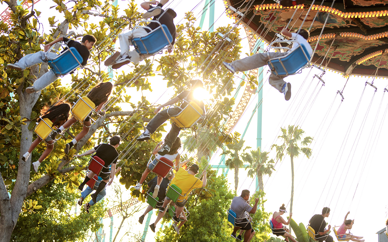 Visitors enjoying the swing ride at Knott's Berry Farm, surrounded by trees and sunlight.