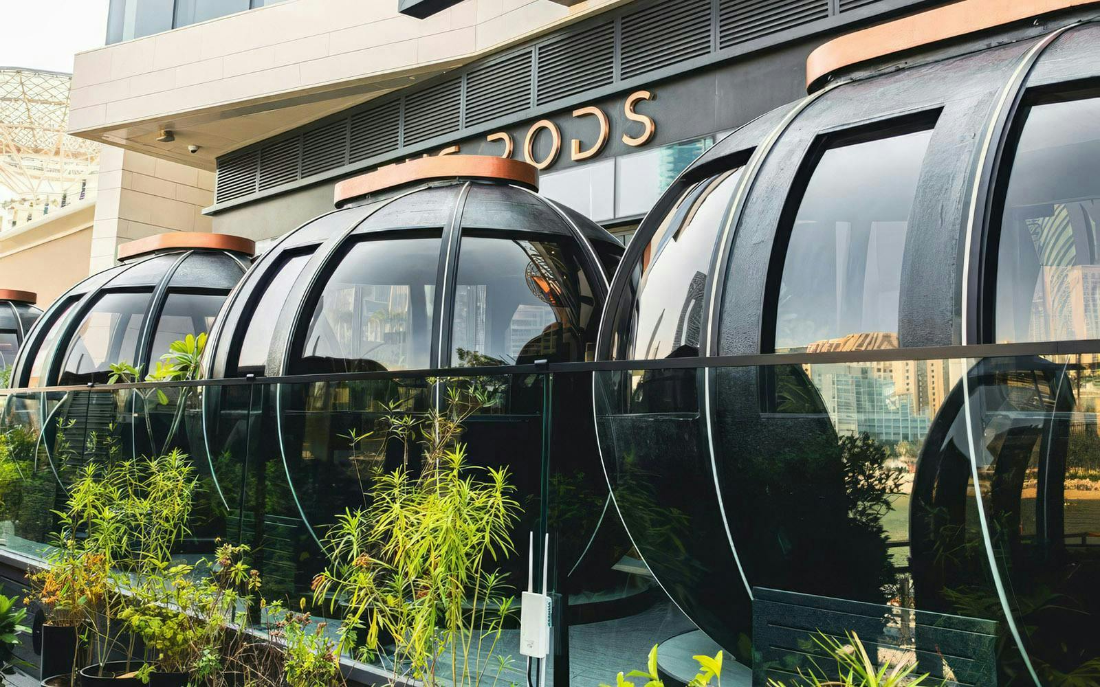 the pods dubai: ein panasiatisches 4-gänge-erlebnis-2