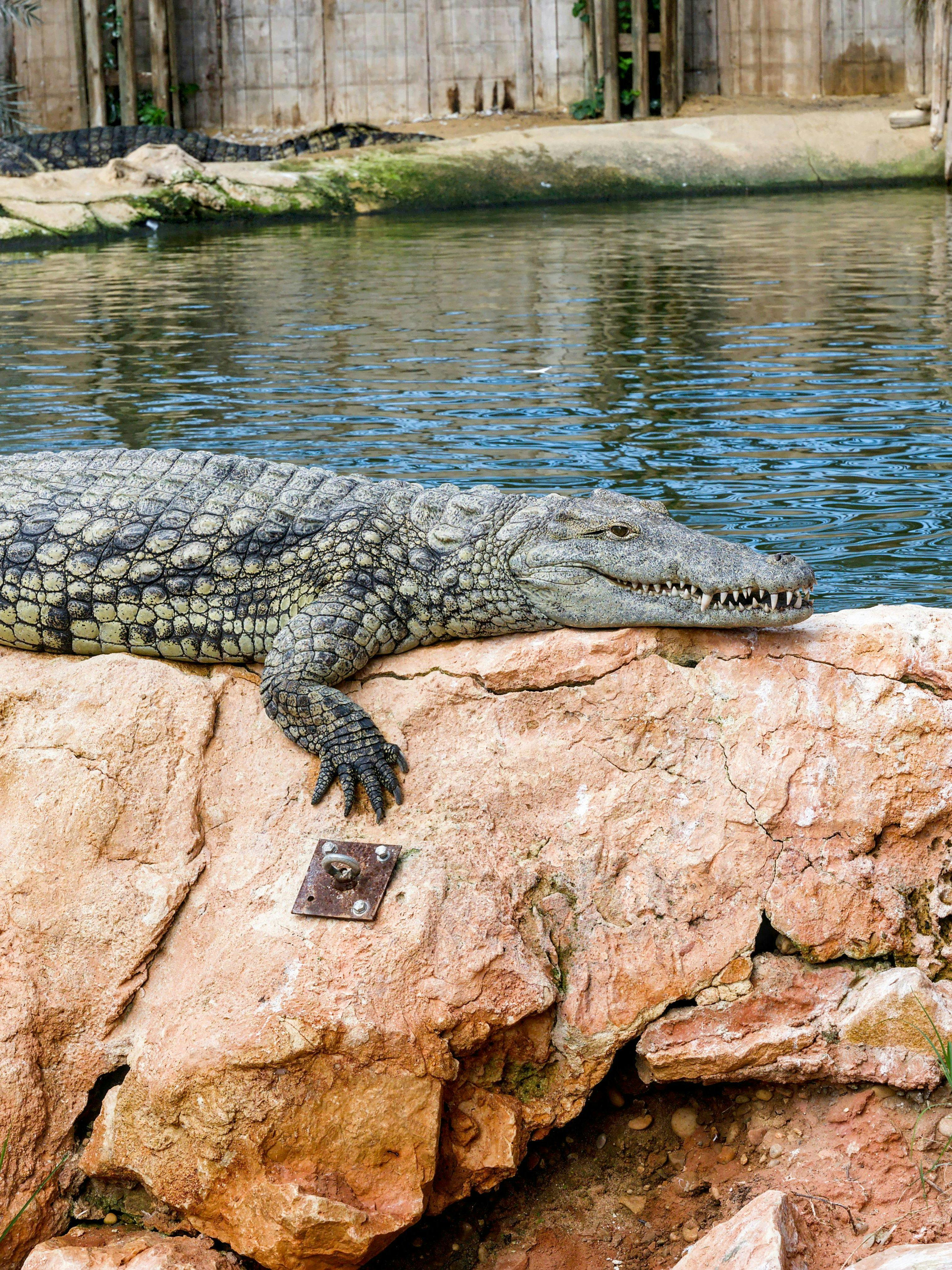 Crocoparc Agadir