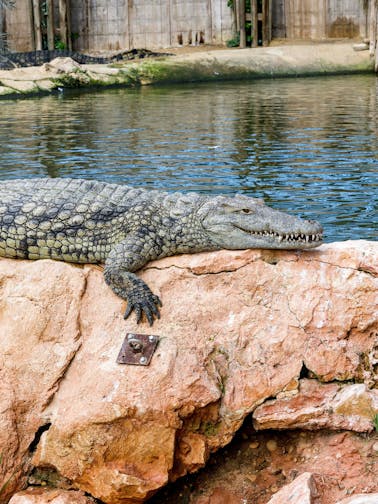 Crocoparc Agadir