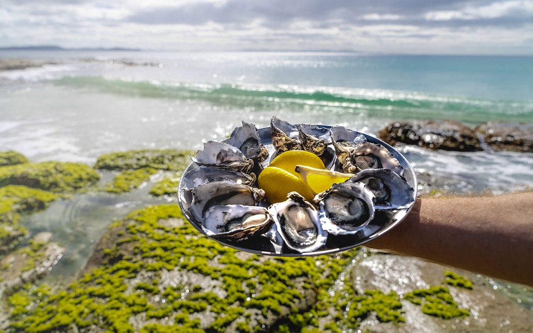 Oysters with lemon on a plate by the sea, Bruny Island.