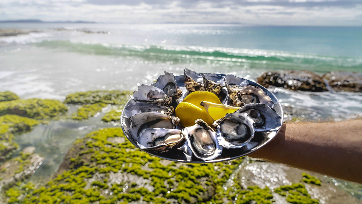 Oysters with lemon on a plate by the sea, Bruny Island.