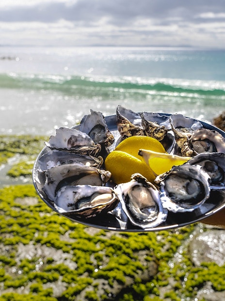 Oysters with lemon on a plate by the sea, Bruny Island.